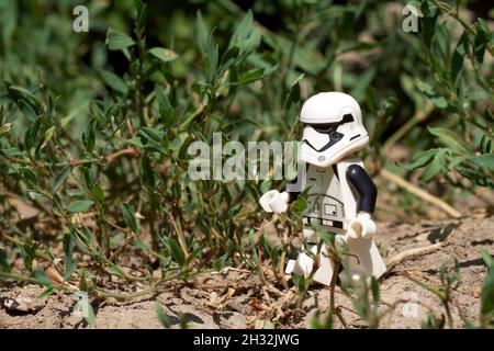 Chernihiv, Ukraine, July 13, 2021. A walking imperial stormtrooper among plants, a plastic minifigure. Illustrative editorial. Stock Photo
