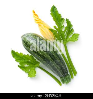 Fresh zucchini with flower and leaves isolated on white background. Top view Stock Photo