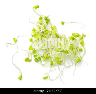 Broccoli sprouts isolated on white background. Top view Stock Photo
