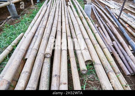 stack of bamboo ready to be used as building material Stock Photo