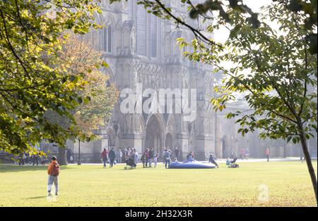Autumn UK; Salisbury Cathedral UK; seen from the green in autumn, Cathedral Close, Salisbury, Wiltshire UK Stock Photo