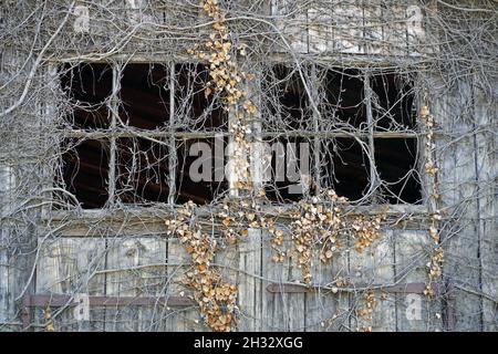 Old barn with broken windows and broken panes Stock Photo
