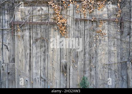 Old barn with broken windows and broken panes Stock Photo