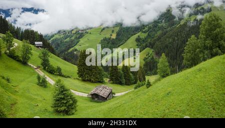 Beautiful idyllic nature green meadow landscape of Alps mountains range on summer day. Austria aerial photo Stock Photo