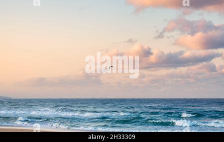 Seagull bird flying over tropical sea in evening sky Stock Photo