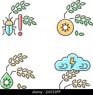 Crop loss reasons RGB color icons set Stock Vector
