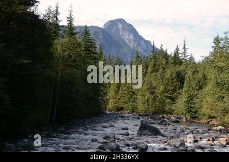 The Gold Creek river, temperate rainforest and Coast Mountains of Golden Ears Provincial Park, near Maple Ridge, British Columbia, Canada. Stock Photo