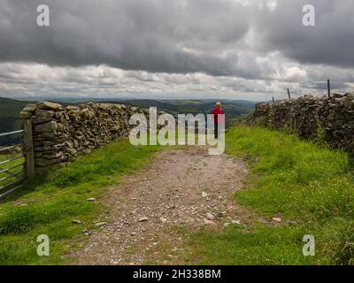 Nanny Lane a green lane on Wansfell above Troutbeck, Windermere in Cumbria Stock Photo