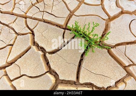Trockene Erde in Israel, Naher Osten Stock Photo