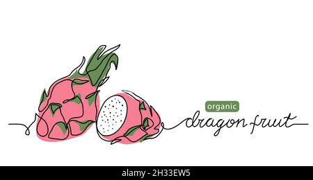 Dragon fruit, pitaya simple color vector illustration. One continuous line art drawing with lettering organic Dragon fruit, pitahaya Stock Vector