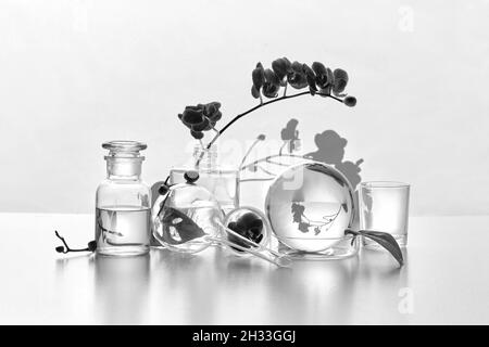 Natural laboratory in black and white. Abstract floral arrangement with exotic monstera leaves in transparent glass vases, jars, vials. Reflections Stock Photo
