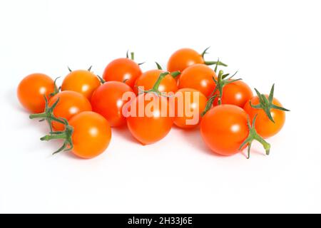 Cherry tomatoes. Freshly picked Sungold cherry tomatoes isolated on a white background. UK Stock Photo