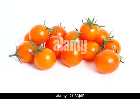 Cherry tomatoes. Freshly picked Sungold cherry tomatoes isolated on a white background. UK Stock Photo