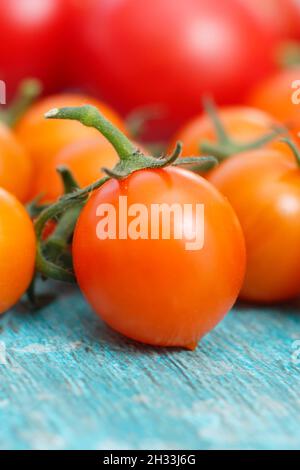 Cherry tomatoes. Freshly picked homegrown Sungold tomatoes - a cordon grown orange variety. Stock Photo