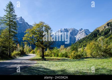 The plateau of the Hinterriss and the Eng is a special scenic feature with the Ahornboden, the largest area of maple trees in the whole of the Alps Stock Photo