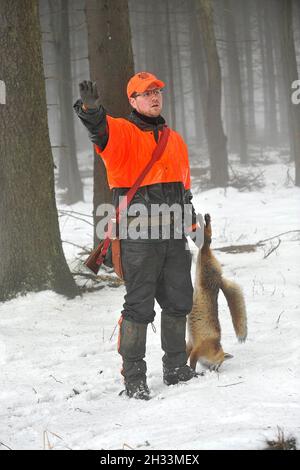 Rifle Shot Fox Stock Photo - Alamy