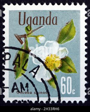 UGANDA - CIRCA 1969: a stamp printed in Uganda shows Snuff-box Tree, Oncoba Spinosa, is a Small Decidous Tree, circa 1969 Stock Photo