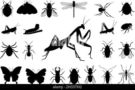 Big collection of black vector silhouettes of different insects Stock Vector