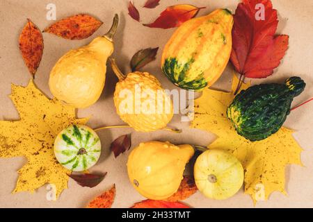 Selection of small decorative pumpkins on colourful autumn leaves. Stock Photo
