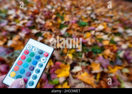 Holding a remote control outdoor over a colorful field of leaves in the autumn season as a concept for wonderful colors of the fall. Stock Photo