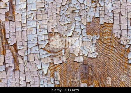 Old cracked white paint peeling off from wooden wall texture background Stock Photo