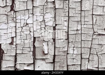 Old cracked white paint peeling off from wooden wall texture background Stock Photo