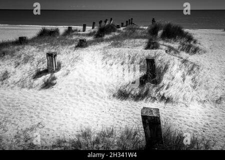 Sand dunes, old groynes with grass and background sea views on Great Yarmouth beach, Norfolk, UK. No people. Stock Photo