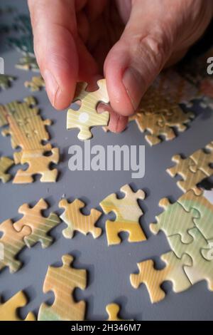 Jigsaw puzzle being assembled Stock Photo