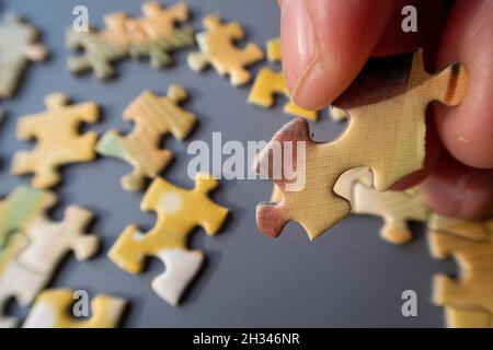 Jigsaw puzzle being assembled Stock Photo