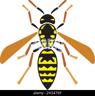 Wasp vector illustration Stock Vector