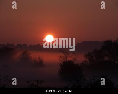 Sunrise over mist filled landscape along the Stour River in Dorset Stock Photo