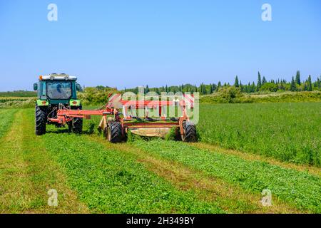 red tractor in a farm field while mowing the grass for silage Stock Photo