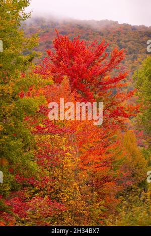 WARREN, VERMONT, USA - Fall foliage, autumn color in Mad River Valley, Green Mountains. Stock Photo