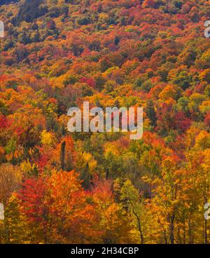 WARREN, VERMONT, USA - Fall foliage, autumn color in Mad River Valley ...