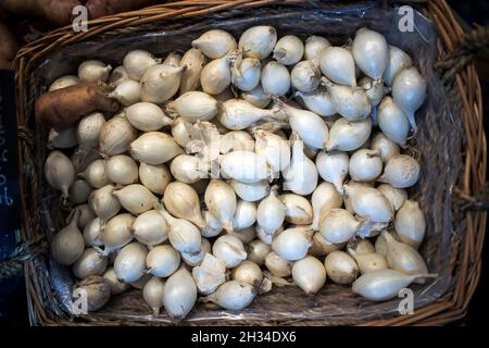 Small white onion seedlings in a wicker basket for sale in the market Stock Photo