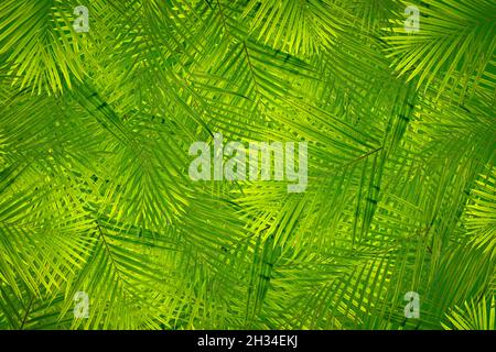 Fruit pattern background plant clothes pattern Stock Photo