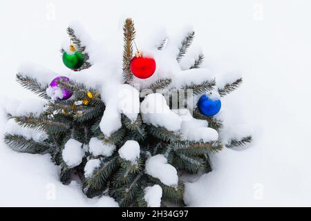 Small Christmas tree grows in a snowdrift with colorful balls decoration covered with snow Stock Photo