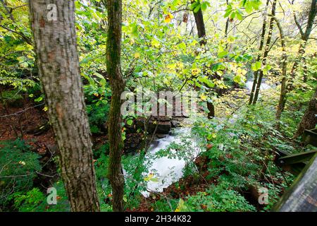 Indian Run Falls Park in Autumn, Dublin, Ohio Stock Photo