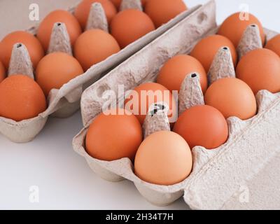Organic brown chicken eggs in a cartons. Close up. Stock Photo