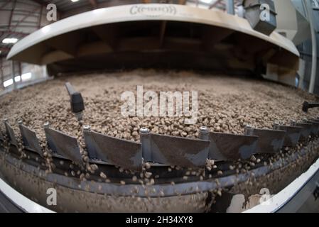 Addis Ababa. 21st Oct, 2021. Photo taken on Oct. 21, 2021 shows coffee beans in a processing machine at Kerchanshe Trading Private Limited Company (PLC) in Addis Ababa, Ethiopia. Kerchanshe Trading Private Limited Company (PLC), the largest producer and exporter of coffee in Ethiopia, says the upcoming 4th China International Import Expo (CIIE) will create a huge opportunity for coffee-producing and exporting companies. Credit: Michael Tewelde/Xinhua/Alamy Live News Stock Photo