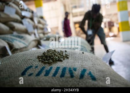 Addis Ababa. 21st Oct, 2021. Photo taken on Oct. 21, 2021 shows bags of coffee beans to be exported to China at a warehouse of Kerchanshe Trading Private Limited Company (PLC) in Addis Ababa, Ethiopia. Kerchanshe Trading Private Limited Company (PLC), the largest producer and exporter of coffee in Ethiopia, says the upcoming 4th China International Import Expo (CIIE) will create a huge opportunity for coffee-producing and exporting companies. Credit: Michael Tewelde/Xinhua/Alamy Live News Stock Photo
