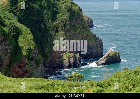 Wringcliff Bay & Duty Point, Valley Of The Rocks, Exmoor, Devon, UK Stock Photo
