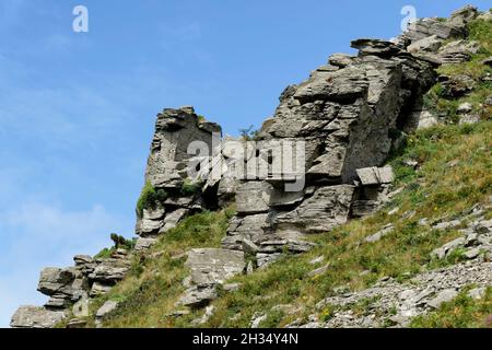 Shattered Devonian Limestone Rock outcrop of Castle Rock, Valley Of The Rocks, Exmoor, Devon, UK Stock Photo