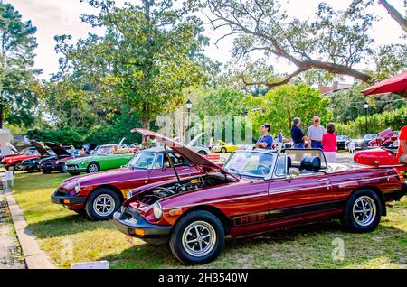 MGB Roadsters are displayed at the 31st annual British Car Festival, Oct. 24, 2021, in Fairhope, Alabama. Stock Photo