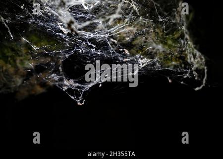 White spider web in rays of light hangs on ceiling in dark cave. Concept of Halloween and trap.  Stock Photo