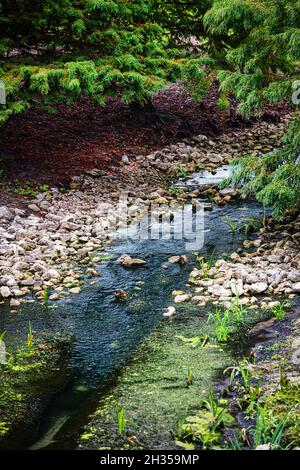 A nice and relaxing day in the park Stock Photo