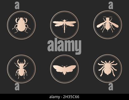 Vector set of gold icons with insects on black background. Collection of round icons. Stock Vector