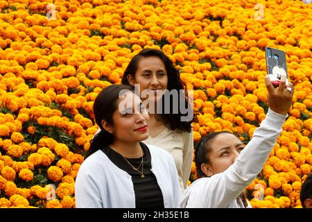 Non Exclusive: A person disguised  as skull at Cempasuchil Flower Fair and decorations at Reforma avenue as part of  the Day of the Dead celebrations. Stock Photo