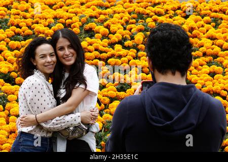 Non Exclusive: A person disguised  as skull at Cempasuchil Flower Fair and decorations at Reforma avenue as part of  the Day of the Dead celebrations. Stock Photo