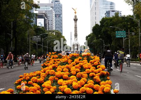 Non Exclusive: A person disguised  as skull at Cempasuchil Flower Fair and decorations at Reforma avenue as part of  the Day of the Dead celebrations. Stock Photo